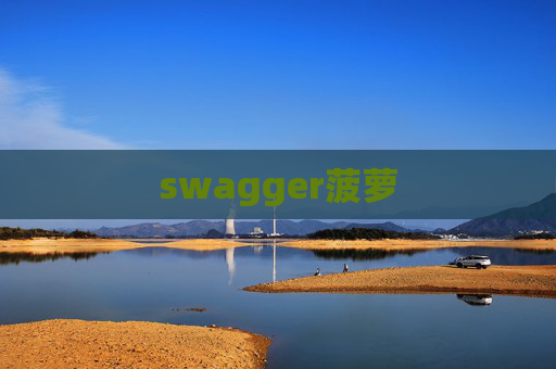 swagger菠萝