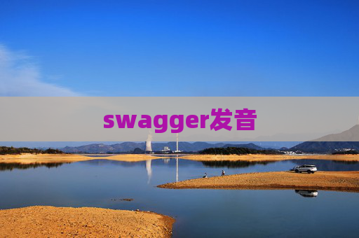 swagger发音