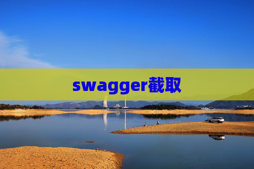 swagger截取